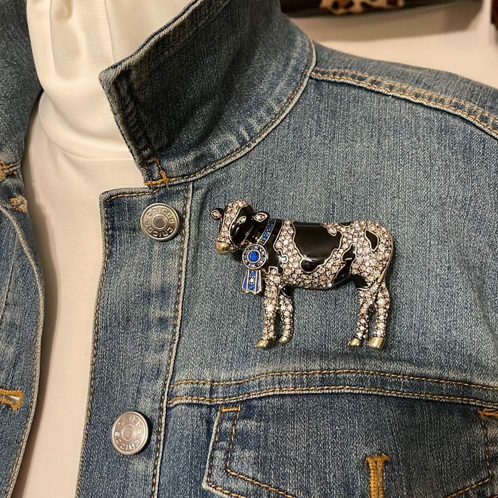 Blue ribbon cow by Heidi Daus